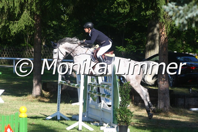 308M2664_Cambiaso_Stil Mx.JPG